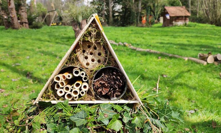 Atelier – Hotel à insectes