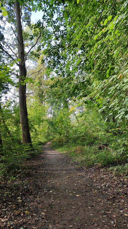 Sortie – Découverte des 4 saisons – « La biodiversité qui nous entoure »